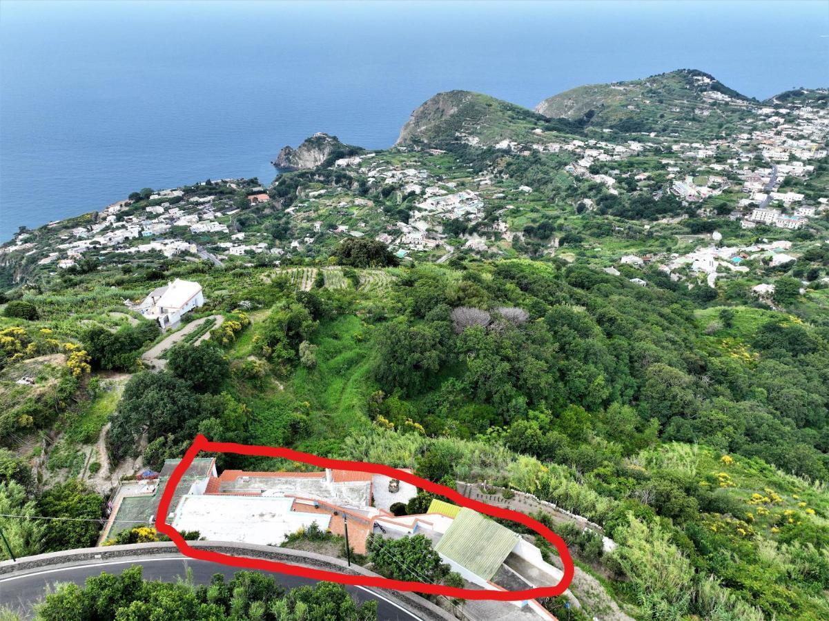 Di Gesualda Apartment