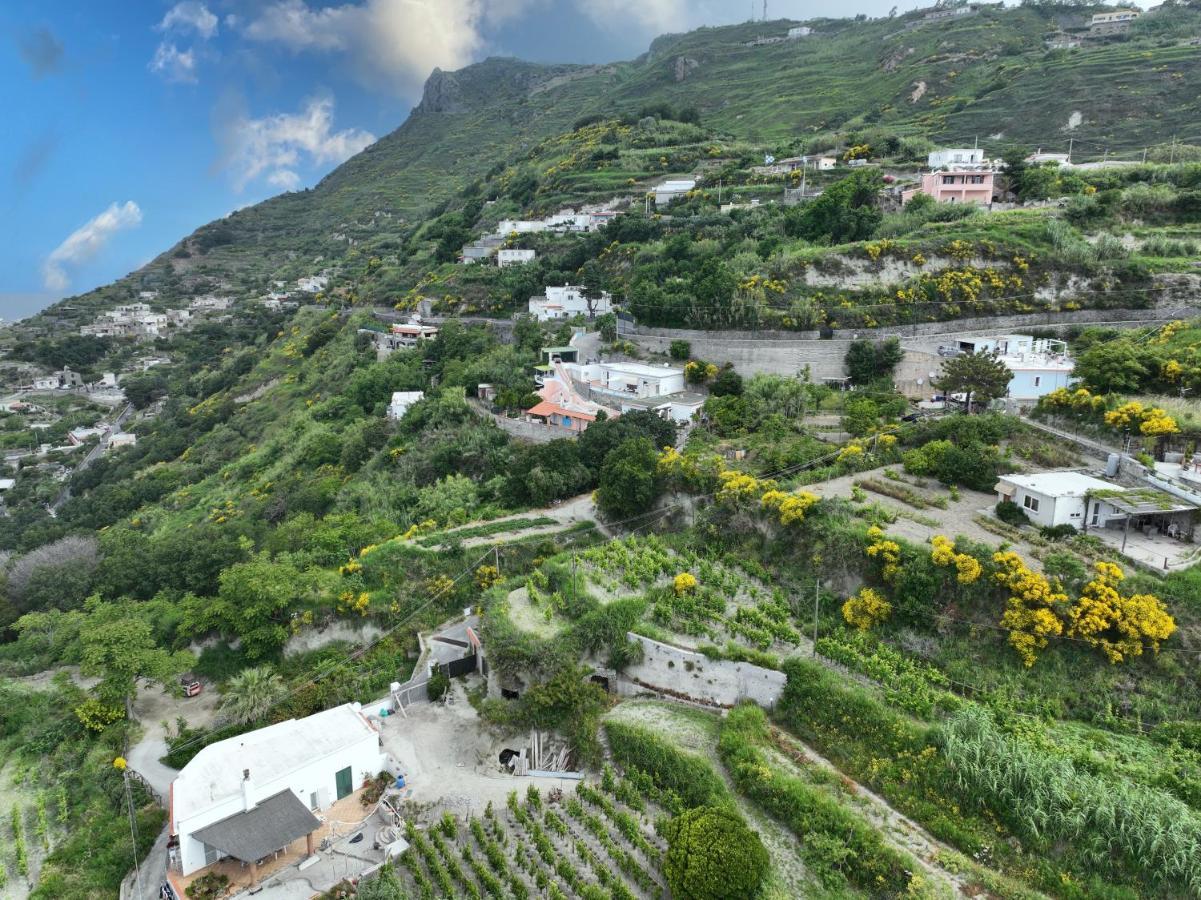 Di Gesualda *