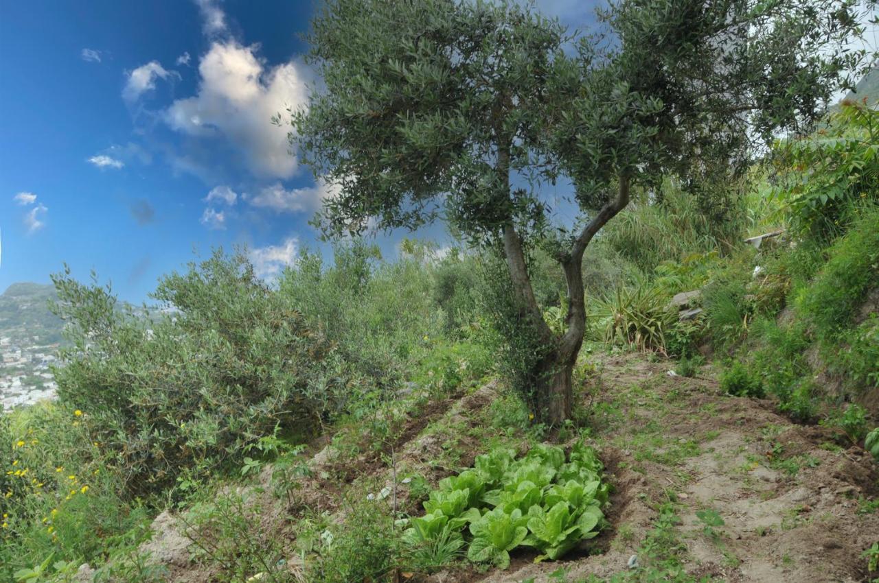 Appartement Di Gesualda Serrara Fontana